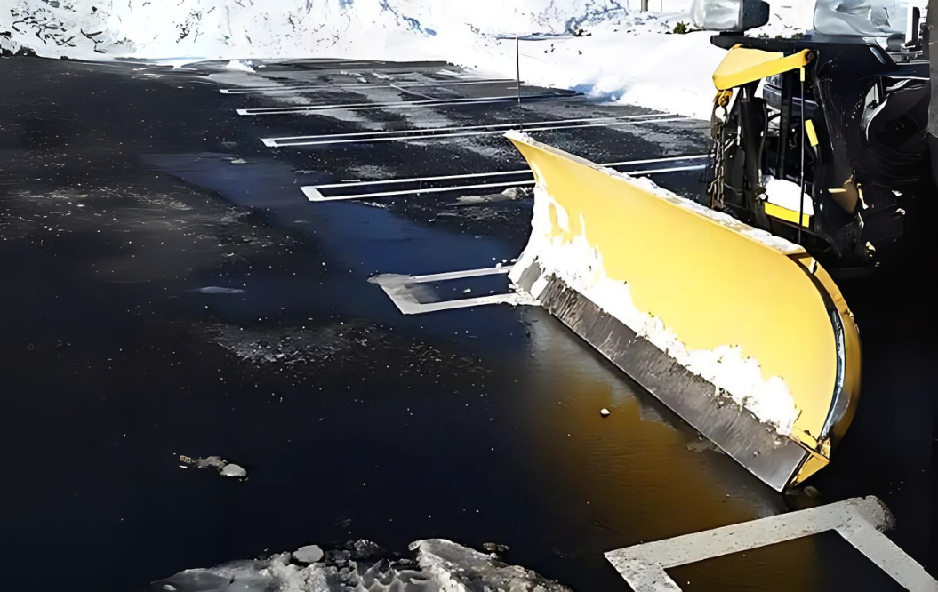 snow 2022